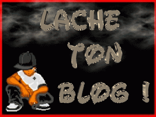 Ton blog...